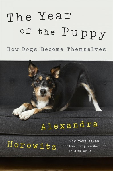 Year of the Puppy