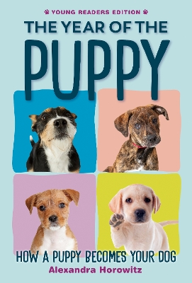 Year of the Puppy: How a Puppy Becomes Your Dog