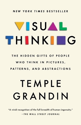 Visual Thinking: The Hidden Gifts of People Who Think in Pictures, Patterns, and Abstractions