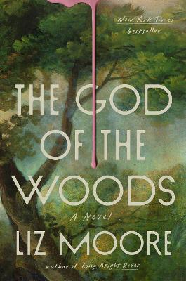 God of the Woods: A Novel