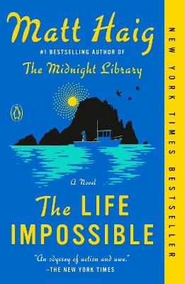 Life Impossible: A Novel