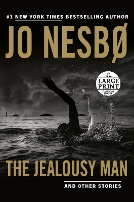 Jealousy Man and Other Stories Large type / large print edition