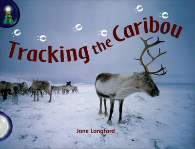 Lighthouse White: Tracking The Caribou (6 pack)