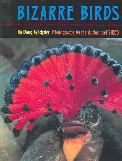 Bizarre Birds Turtleback School & Library ed.
