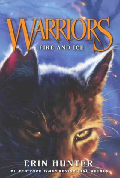 Fire and Ice Bound for Schools & Libraries ed.