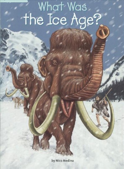 What Was the Ice Age? Bound for Schools & Libraries ed.