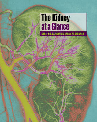 Kidney at a Glance 7th edition