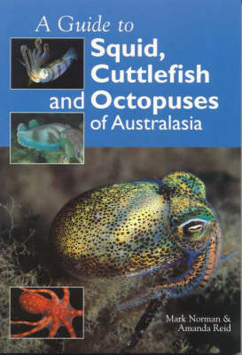 Guide to Squid, Cuttlefish and Octopuses of Australasia