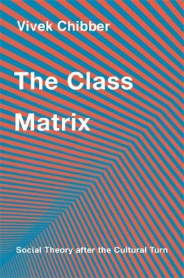 Class Matrix: Social Theory after the Cultural Turn