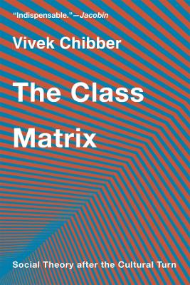 Class Matrix: Social Theory after the Cultural Turn