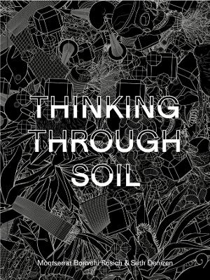 Thinking Through Soil: Wastewater Agriculture in the Mezquital Valley