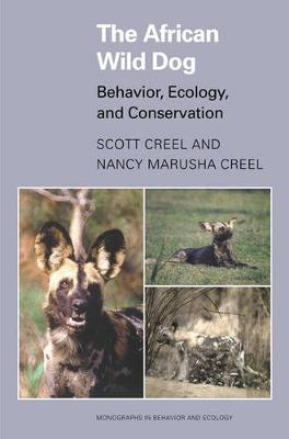 African Wild Dog: Behavior, Ecology, and Conservation