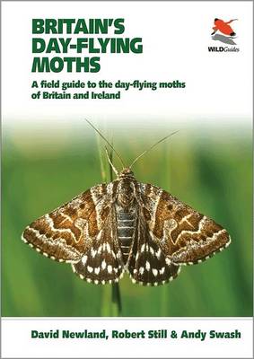 Britain's Day-flying Moths: A Field Guide to the Day-flying Moths of Britain and Ireland