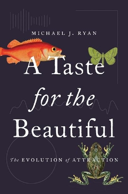 Taste for the Beautiful: The Evolution of Attraction