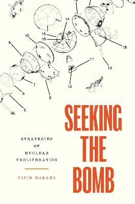 Seeking the Bomb: Strategies of Nuclear Proliferation