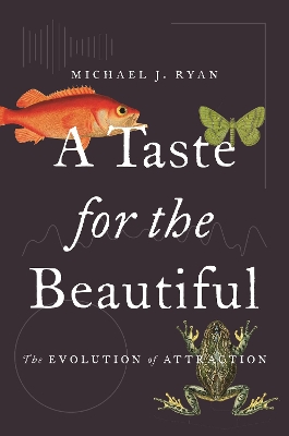 Taste for the Beautiful: The Evolution of Attraction