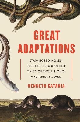 Great Adaptations: Star-Nosed Moles, Electric Eels, and Other Tales of Evolutions Mysteries  Solved