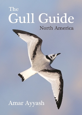 Gull Guide: North America