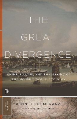 Great Divergence: China, Europe, and the Making of the Modern World Economy