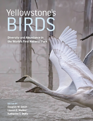 Yellowstones Birds: Diversity and Abundance in the Worlds First National Park