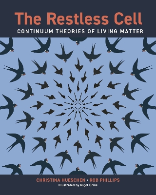 Restless Cell: Continuum Theories of Living Matter