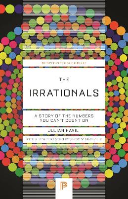 Irrationals: A Story of the Numbers You Can't Count On