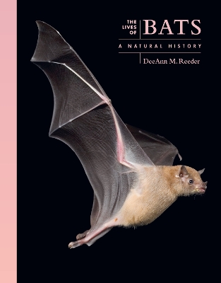 Lives of Bats: A Natural History