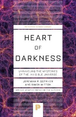 Heart of Darkness: Unraveling the Mysteries of the Invisible Universe