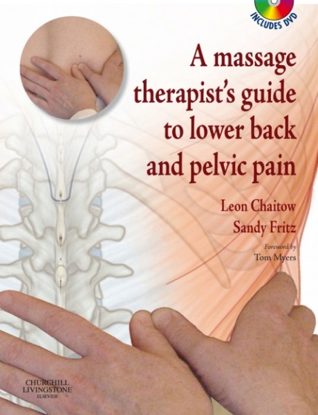 Massage Therapist's Guide to Lower Back & Pelvic Pain E-Book: A Massage Therapist's Guide to Lower Back & Pelvic Pain E-Book
