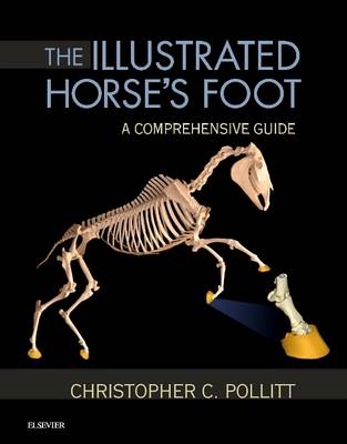 Illustrated Horse's Foot: A comprehensive guide