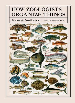 How Zoologists Organize Things: The Art of Classification
