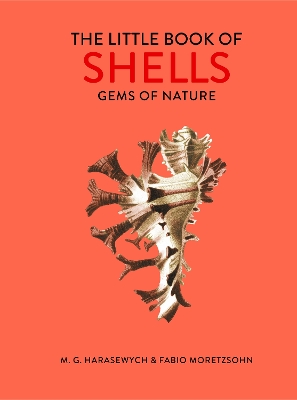 Little Book of Shells: Gems of Nature