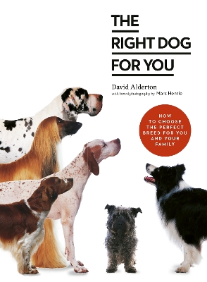 Right Dog for You: How to choose the perfect breed for you and your family