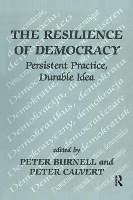 Resilience of Democracy: Persistent Practice, Durable Idea