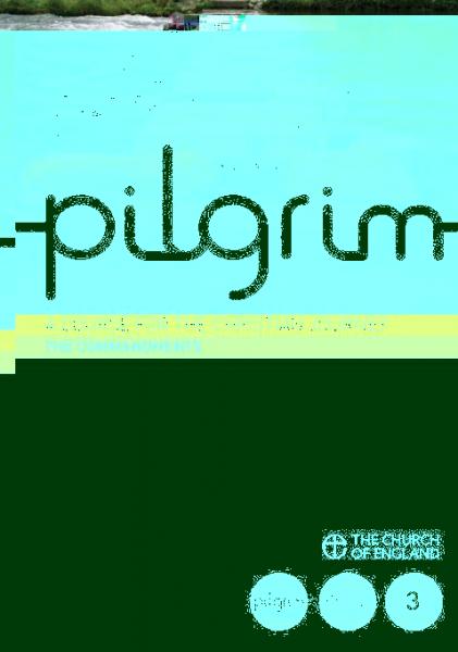 Pilgrim: The Commandments Large Print: Follow Stage Book 3