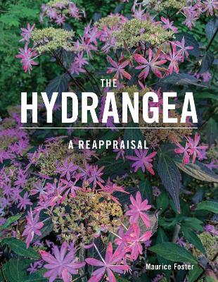 Hydrangea: A Reappraisal