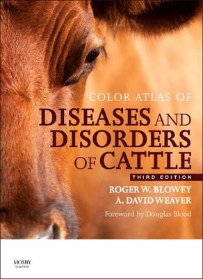 Color Atlas of Diseases and Disorders of Cattle: Color Atlas of Diseases and Disorders of Cattle 3rd edition