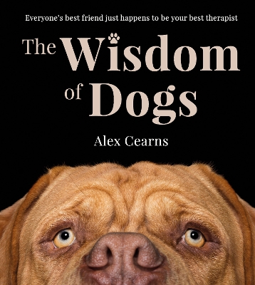 Wisdom Of Dogs: The adorable and funny new book from the photographer behind the bestselling  QUOKKA'S GUIDE TO HAPPINESS and ZEN DOGS