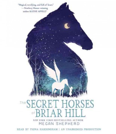 Secret Horses of Briar Hill