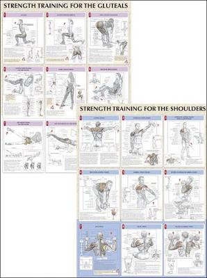 Strength Training Anatomy Poster Series