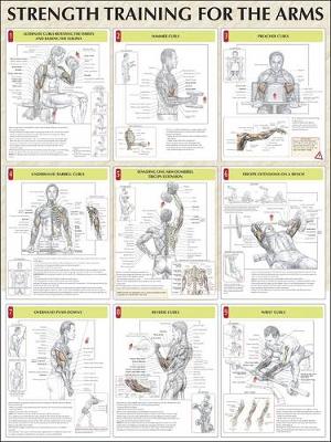 Strength Training for the Arms