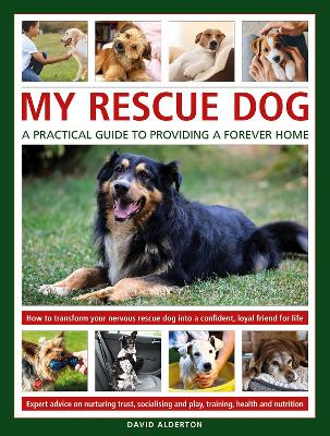 My Rescue Dog: A practical guide to providing a forever home: How to understand and transform your nervous rescue dog into a happy,  confident, loyal friend for life; Expert advice on nurturing trust, obedience training, socialising, health and nutrition, and learning to play