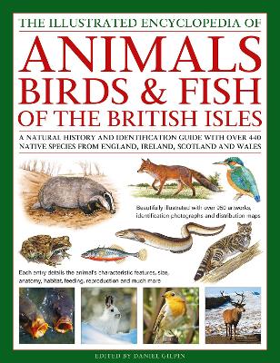 Animals, Birds & Fish of the British Isles, Illustrated Guide to: A natural history and identification guide to over 440 native species from  England, Ireland, Scotland and Wales