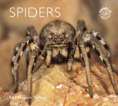Spiders