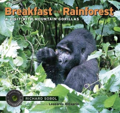 Breakfast In The Rainforest