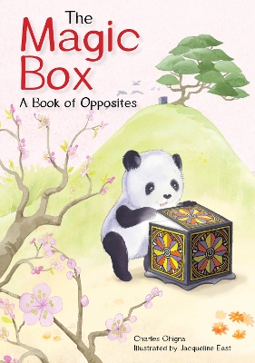 Magic Box: A Book of Opposites