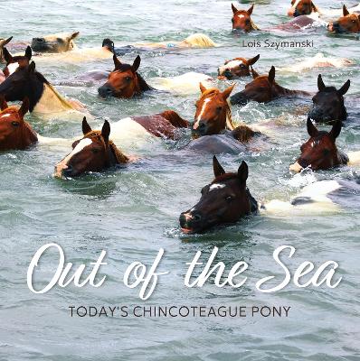Out of the Sea: Today's Chincoteague Pony (2nd Edition) 2