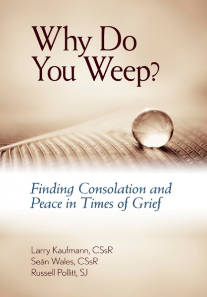 Why Do You Weep?: Finding Consolation and Peace in Times of Grief