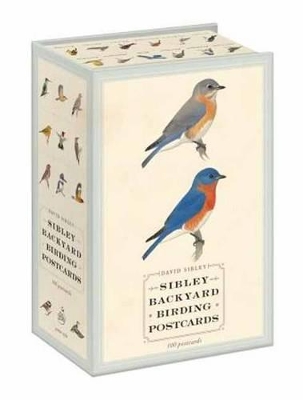 Sibley Backyard Birding Postcards: 100 Postcards