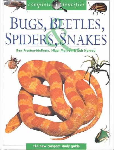 Bugs, Beetles, Spiders, & Snakes